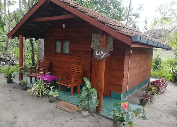 Jungle Paradise