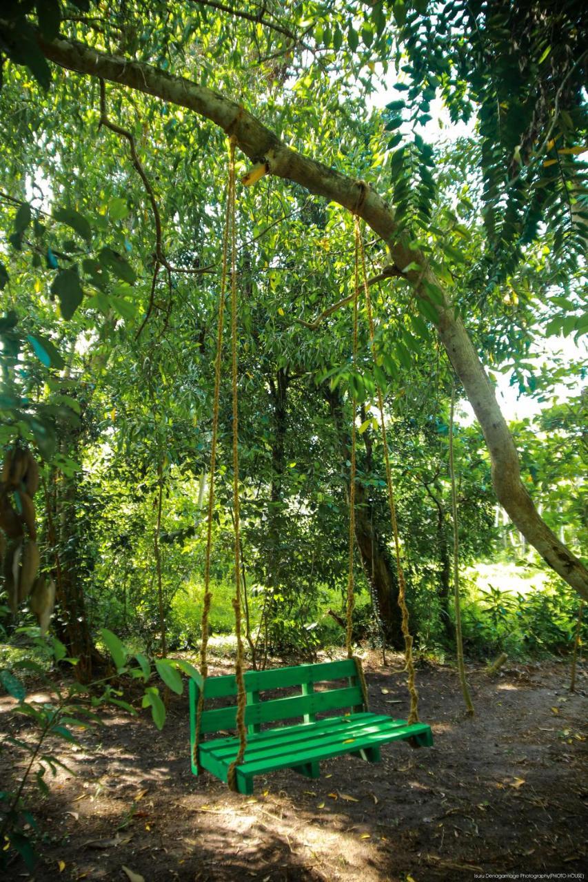 Jungle Paradise * Galle