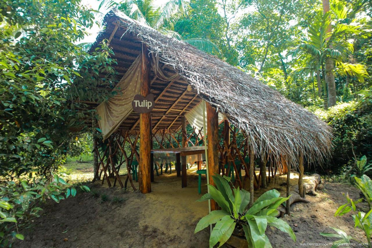 Campsite Jungle Paradise