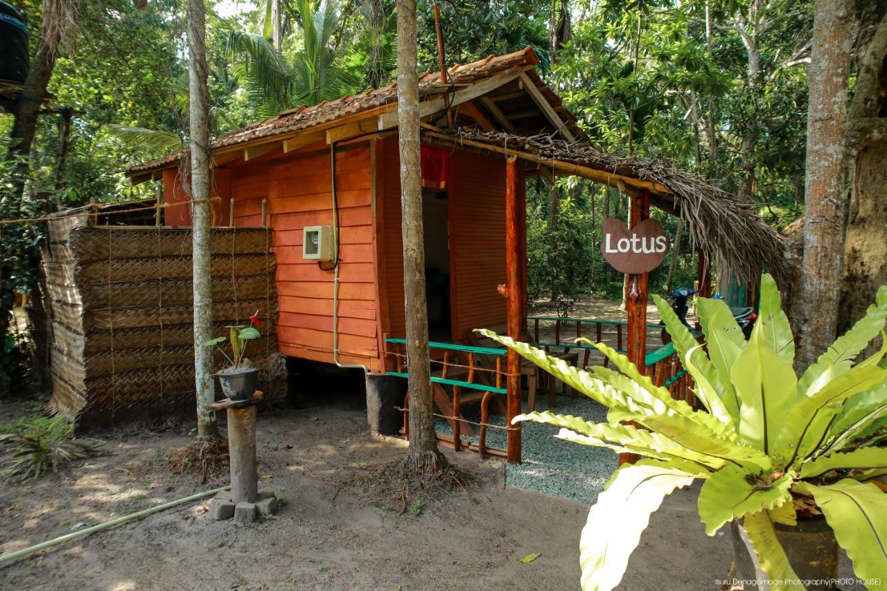 Jungle Paradise