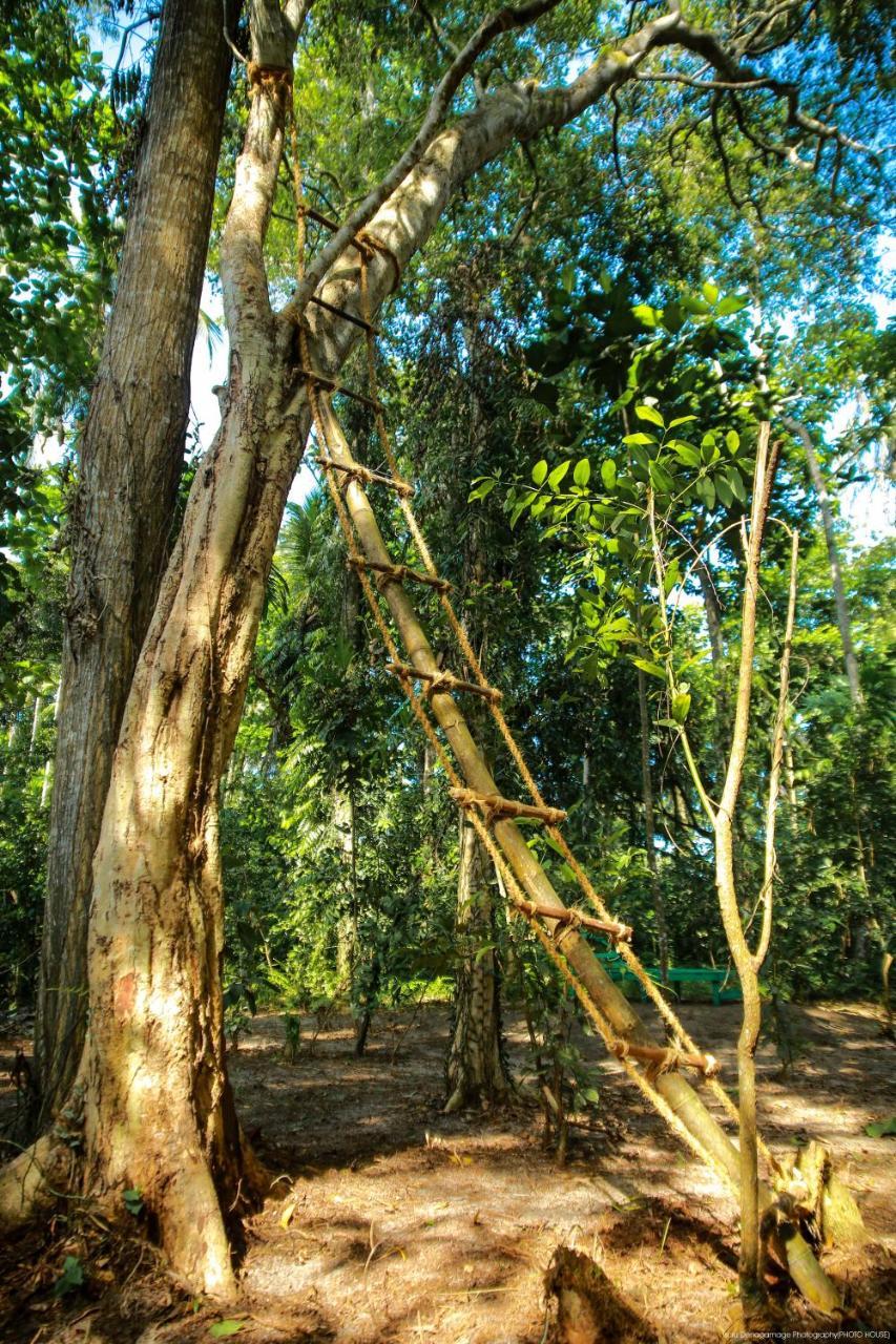 Jungle Paradise Campsite