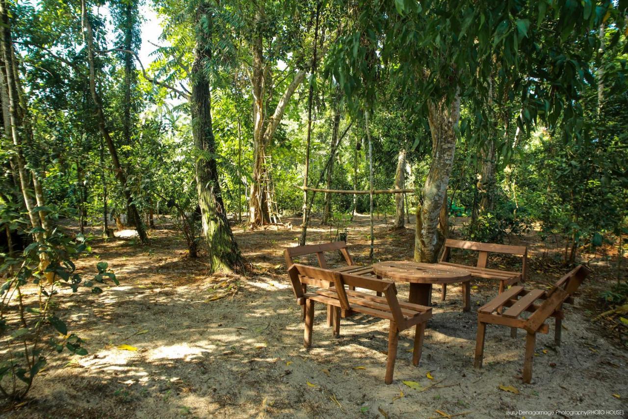 Jungle Paradise