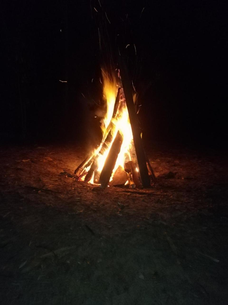 Campsite Jungle Paradise Galle
