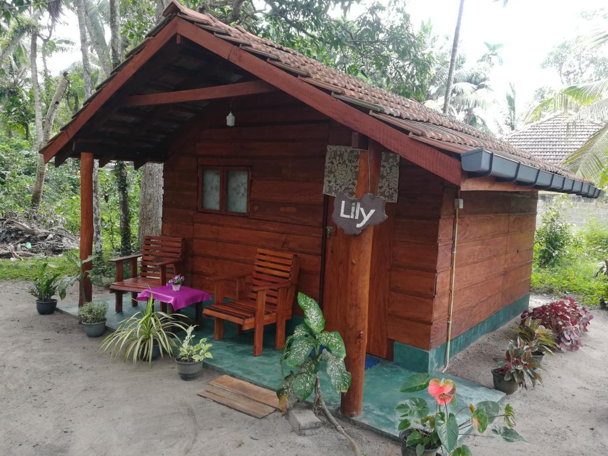 Jungle Paradise Campsite Galle