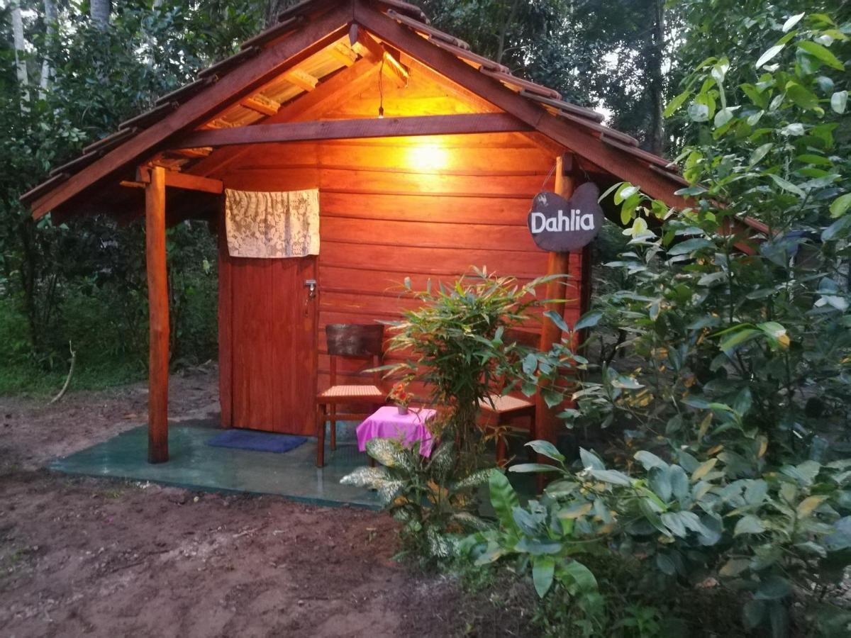 Jungle Paradise Campsite *