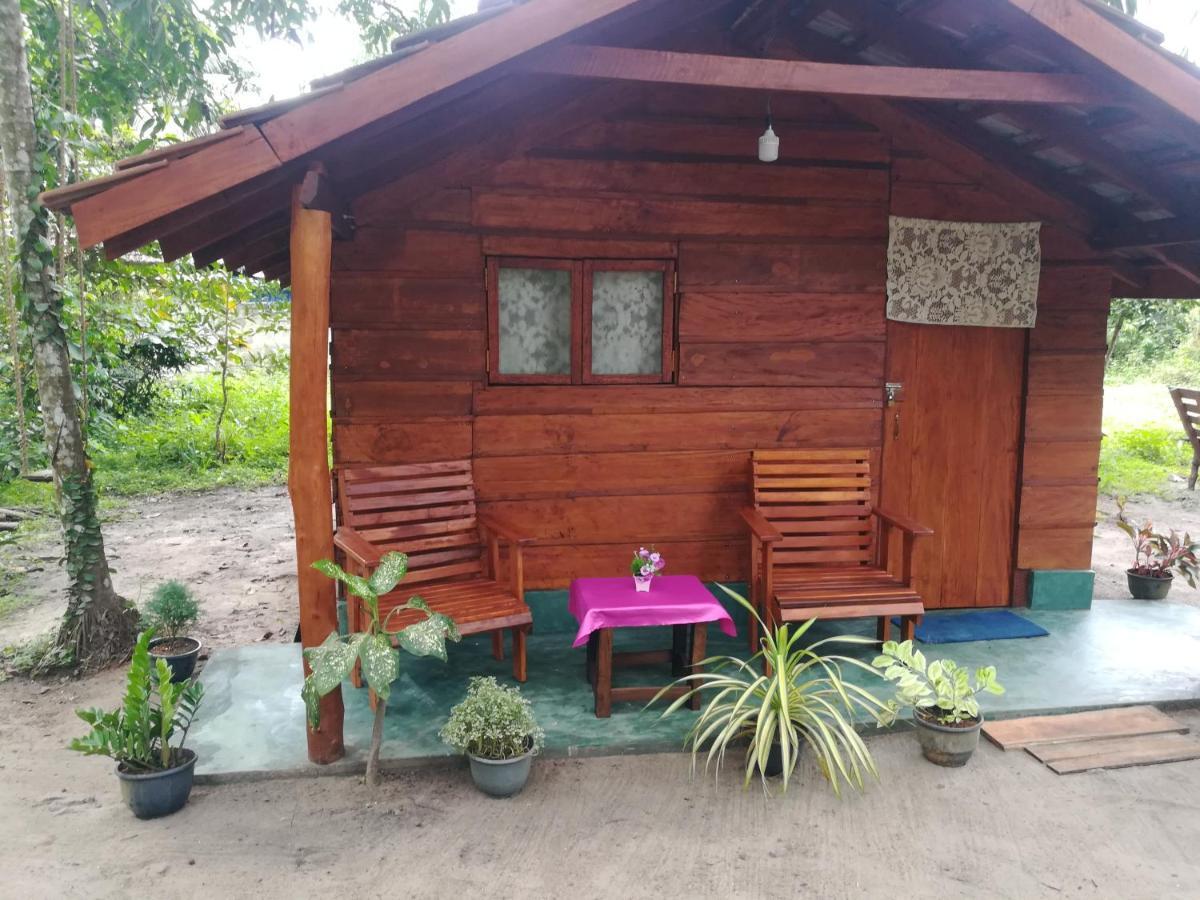 Jungle Paradise *
