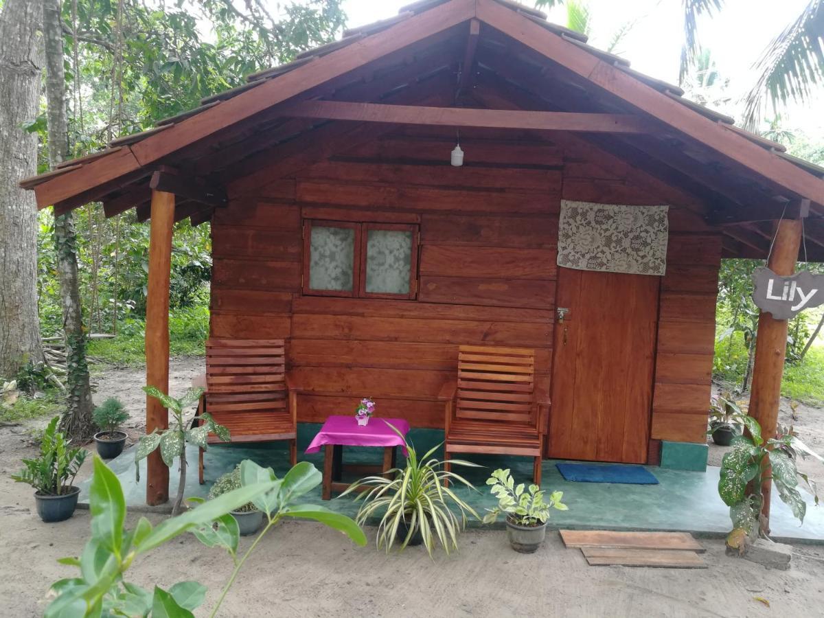 Jungle Paradise Campsite Galle