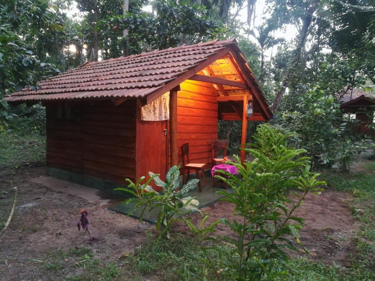 Jungle Paradise Campsite *