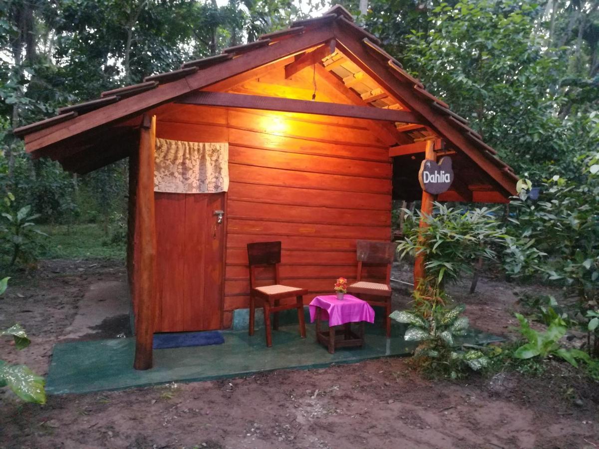 Jungle Paradise Galle