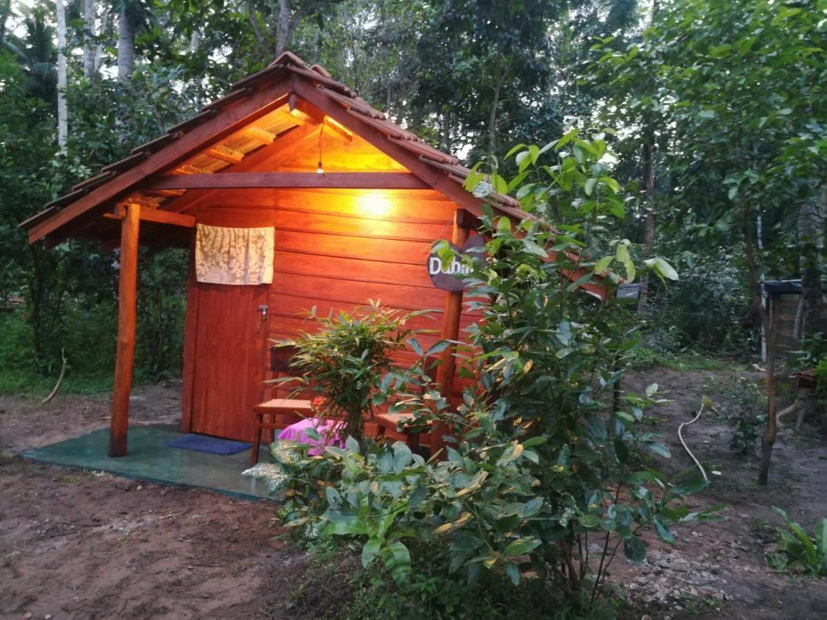 Jungle Paradise Кемпінг