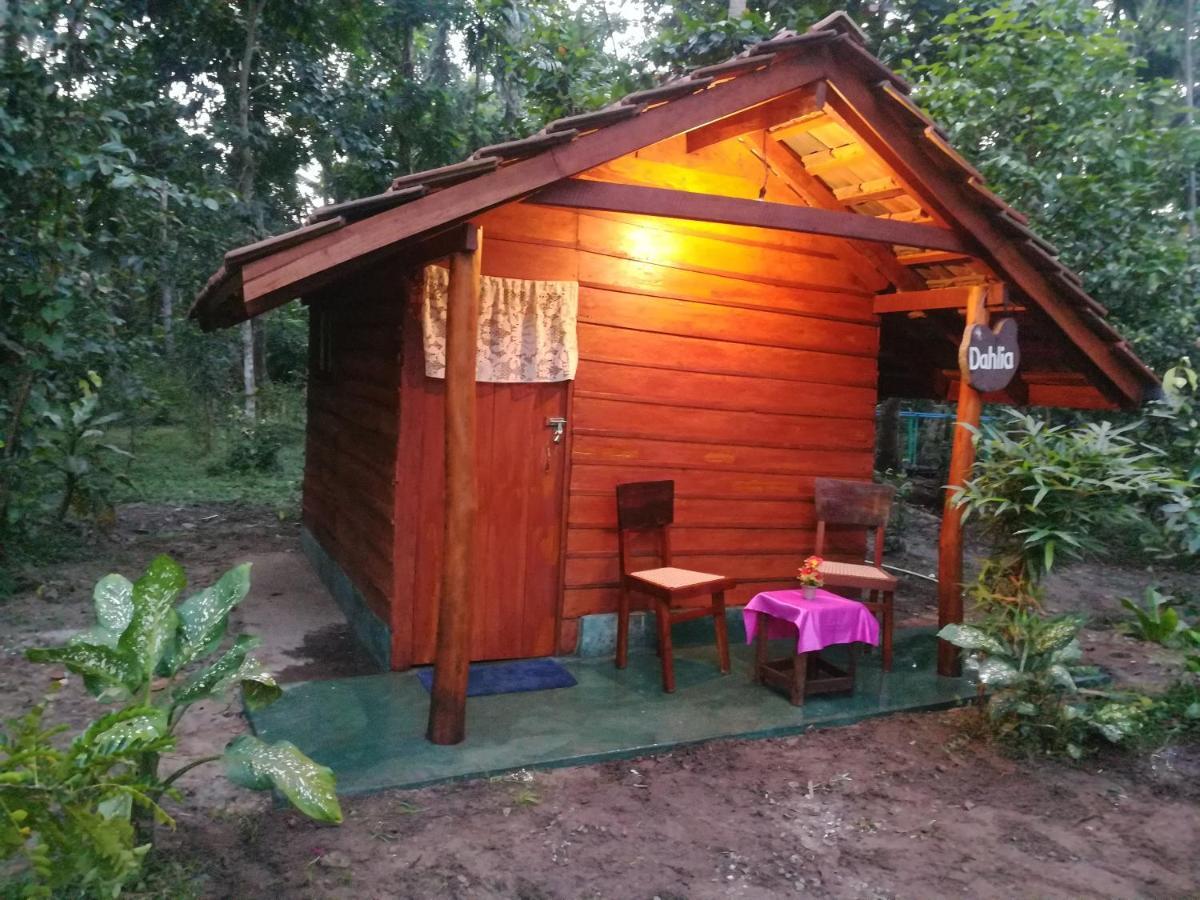 Jungle Paradise * Galle