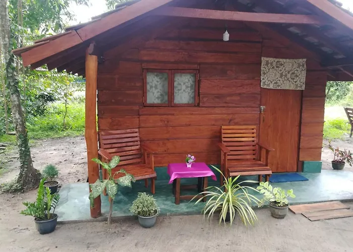 Jungle Paradise