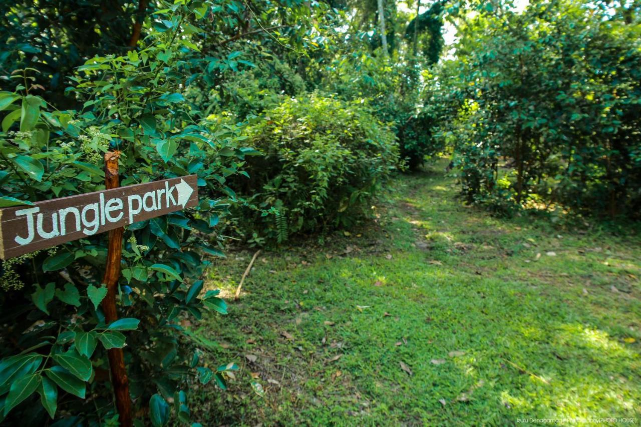Jungle Paradise *