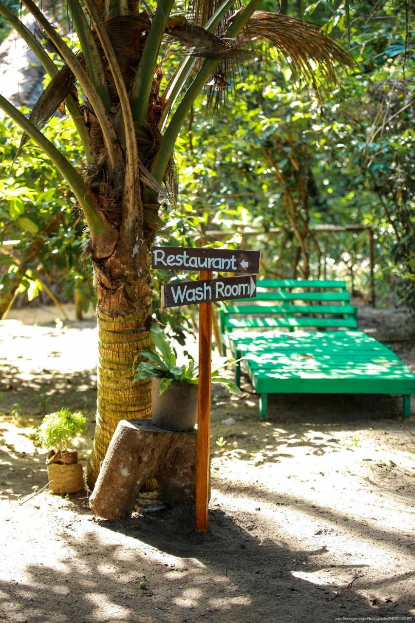 Jungle Paradise कैम्पिंग की जगह