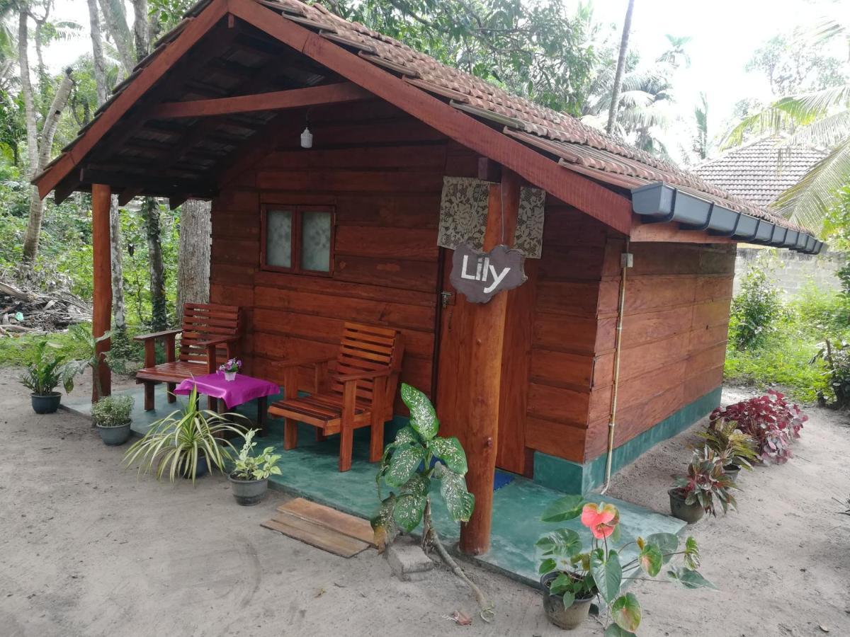 Jungle Paradise * Galle